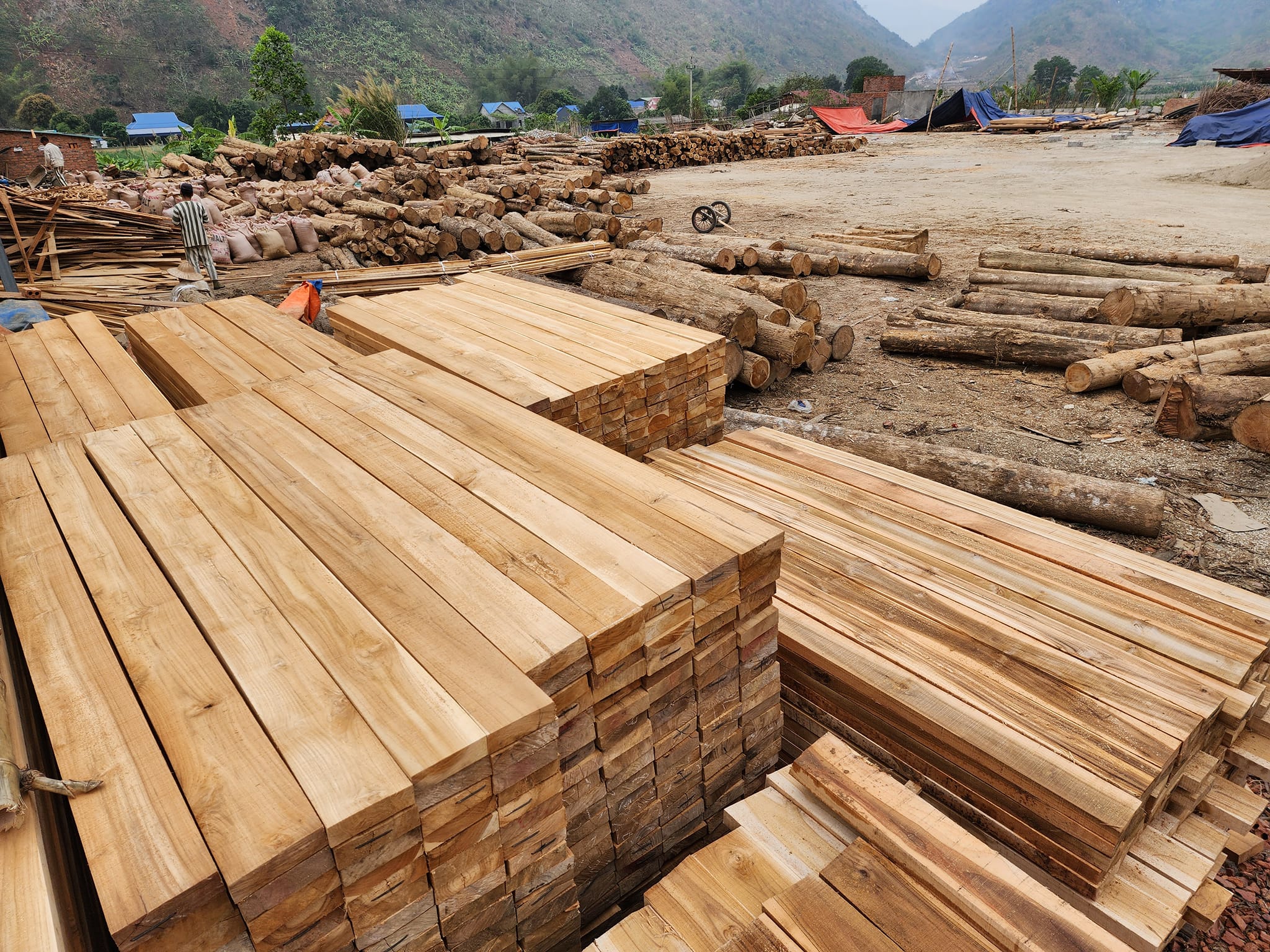 Cửa gỗ tự nhiên với chất lượng chính là gỗ chất lượng cao nhưng có một số nhược điểm.